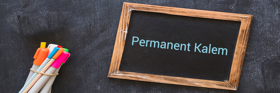 permanent kalem